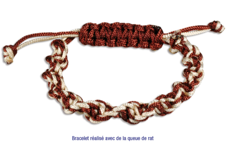 Cordon polyester Queue de rat : Idée Créa - Cordon queue de rat – 10doigts.fr