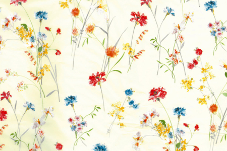 decopatch fleurs séchées - Papiers Décopatch – 10doigts.fr