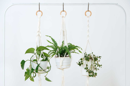 suspensions anneaux bois - Perles Bois – 10doigts.fr