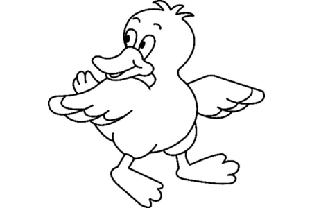 Coloriage Canard07 – 10doigts.fr