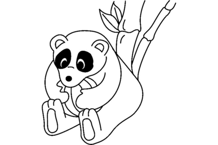 Coloriage Panda 04 – 10doigts.fr