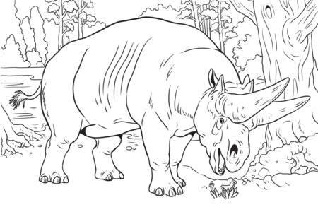 Coloriage Animaux-savane10 – 10doigts.fr