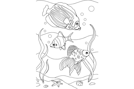 Coloriage Animaux-marins8 – 10doigts.fr