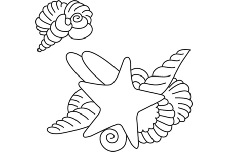 Coloriage Etoile de mer 02 – 10doigts.fr