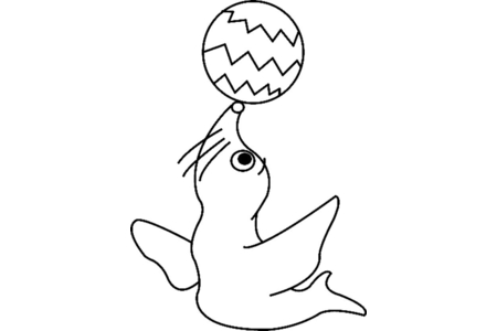 Coloriage Otarie 02 – 10doigts.fr