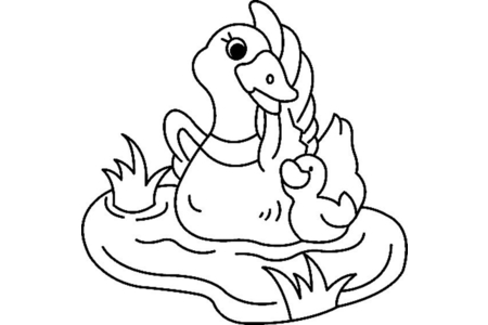 Coloriage Canard 04 – 10doigts.fr