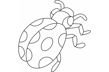 Coloriage Coccinelle 02 – 10doigts.fr