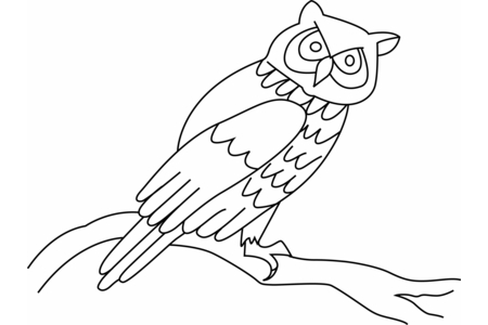 Coloriage Hibou 03 – 10doigts.fr