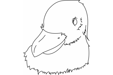 Coloriage Oiseau 34 – 10doigts.fr