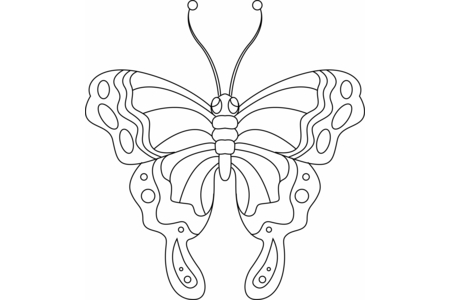 Coloriage Papillon 02 – 10doigts.fr