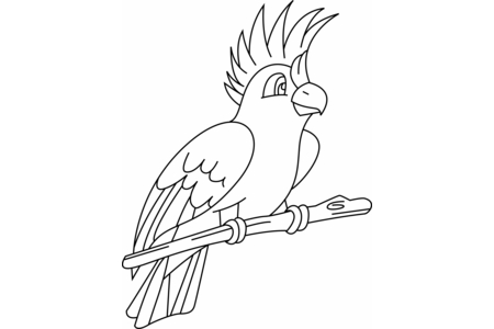 Coloriage Perruche 02 – 10doigts.fr
