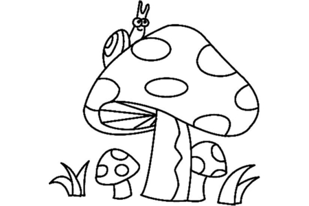Coloriage Champignons 03 – 10doigts.fr