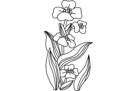 Coloriage Fleurs 018 – 10doigts.fr