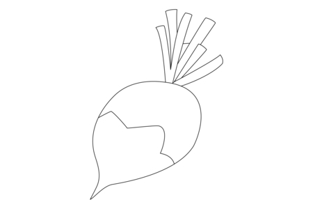 Coloriage Radis 01 – 10doigts.fr