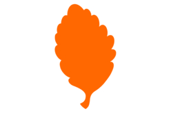 Perforatrice feuille M - Taille découpe : 2.5 cm - Perforatrices fantaisies - 10doigts.fr - 2