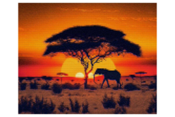 tableau diamants savane - Diamond Painting : Kit complet - 10doigts.fr