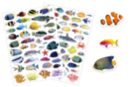 Gommettes poissons réalistes - 84 pcs - Gommettes Animaux - 10doigts.fr