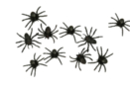 Araignées noires - 10 pièces - Accessoires créatifs Halloween - 10doigts.fr