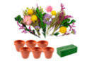 Kit compositions en fleurs séchées - 6 pièces - Kits fête des parents - 10doigts.fr