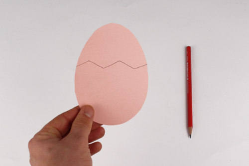 Le poussin sort de son oeuf
