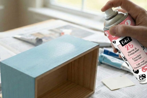 Étape 2 : Vaporiser le vernis craqueleur - 