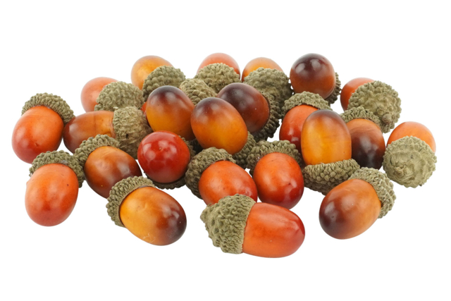 24 glands décoratifs - Décors nature : matériaux naturels pour les loisirs créatifs - 10doigts.fr