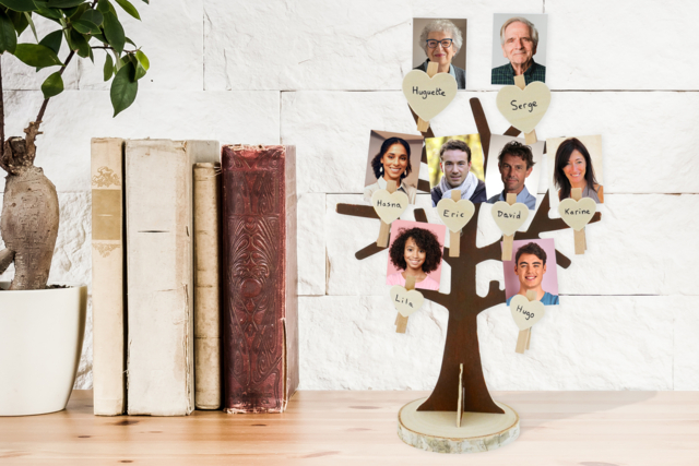 Arbre généalogique fait main - Boîtes et supports à bijoux : l'écrin de vos créations - 10doigts.fr