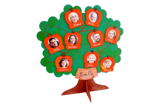 arbre généalogique pommier - Cadres photo en bois à décorer - 10doigts.fr