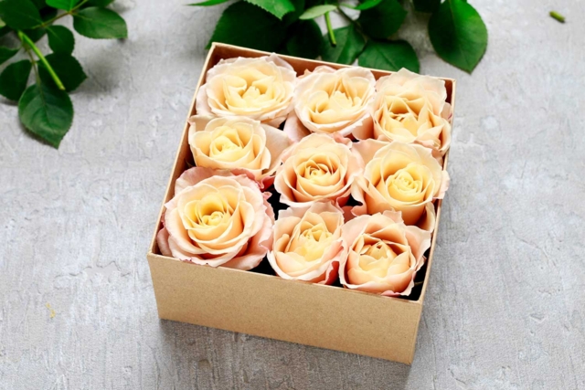 Boite cadeau fleurs fraiches - Supports pour Art Floral : Donnez vie à vos compositions - 10doigts.fr
