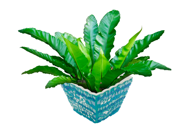cache pot ondulé - Supports Mosaïques - 10doigts.fr
