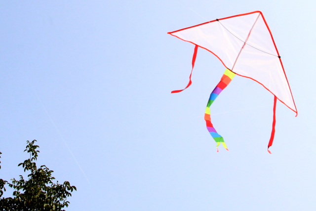 cerf volant - Une année créative : 365 activités créatives à réaliser - 10doigts.fr