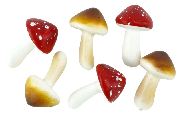 champignons en polystyrène - Décors nature : matériaux naturels pour les loisirs créatifs - 10doigts.fr