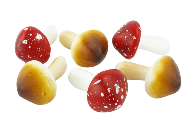 champignons réalistes - Décors nature : matériaux naturels pour les loisirs créatifs - 10doigts.fr