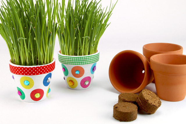 Ciboulette en pot - Adhésifs colorés et Masking tape - 10doigts.fr