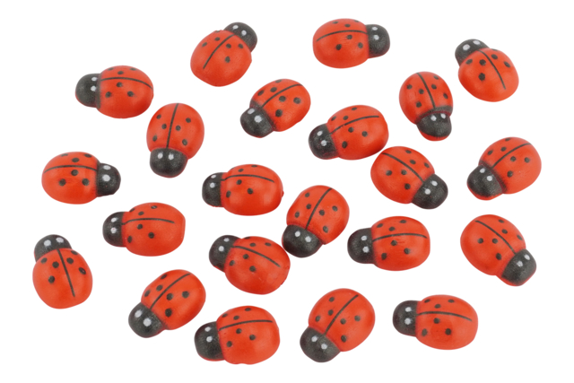 coccinelles en bois 3D - Déco en bois peint - 10doigts.fr