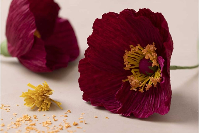 coquelicot automne crépon - Fleurs en papier crépon : créez des bouquets éternels - 10doigts.fr