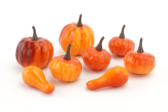 courges et citrouilles - Décors nature : matériaux naturels pour les loisirs créatifs - 10doigts.fr