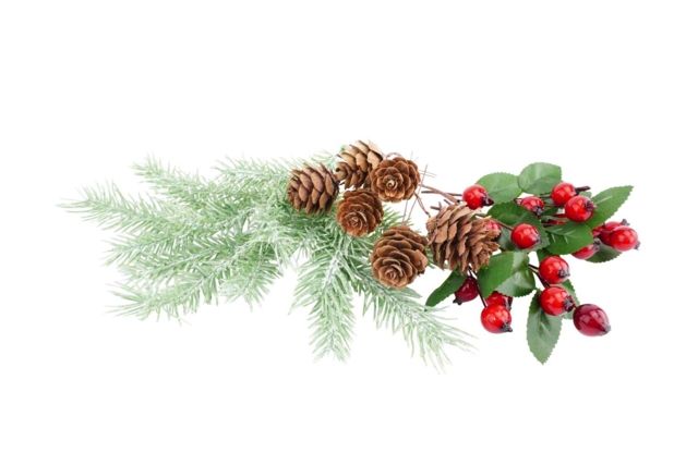 déco noel nature houx sapin - Déco Noël Nature - 10doigts.fr