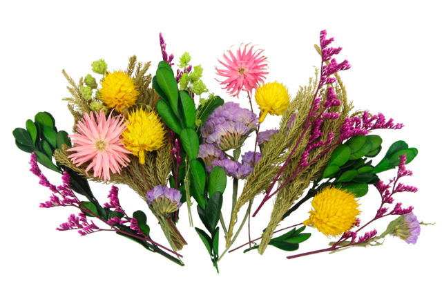 fleurs séchées - Décorations fleurs et feuilles : ajoutez une touche de nature à toutes vos créations - 10doigts.fr