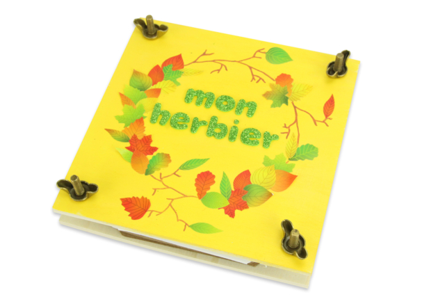 fleurs séchées - Kits animaux et nature : créez votre propre univers sauvage - 10doigts.fr