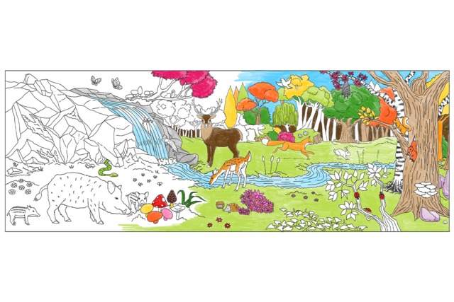 Fresque forêt 1,5 mètre x 60 cm en papier dessin  - Coloriage - 10doigts.fr
