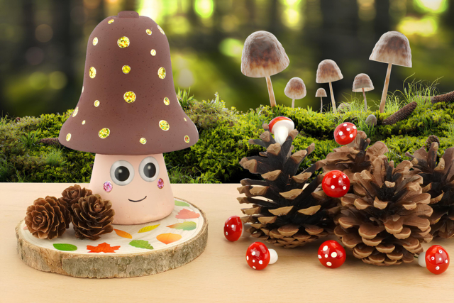 Gaston le champignon - Fleurs séchées et pommes de pin pour les loisirs créatifs - 10doigts.fr
