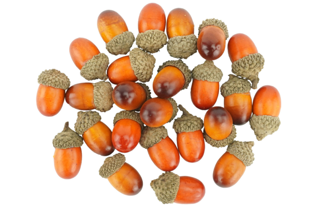 gland plastique déco - Décors nature : matériaux naturels pour les loisirs créatifs - 10doigts.fr