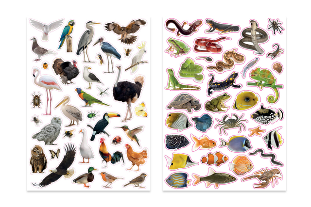 Gommettes Animal Sauvage Realiste - Des gommettes animaux pour créer et apprendre dès la maternelle - 10doigts.fr