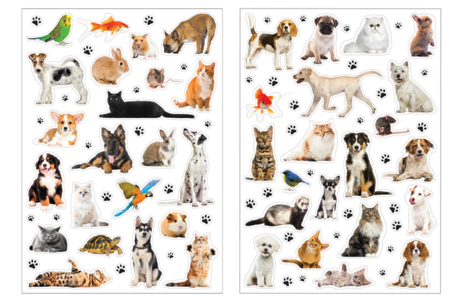 gommettes animaux de compagnie - Gommettes réalistes pour enfants : l’éveil par l’image - 10doigts.fr