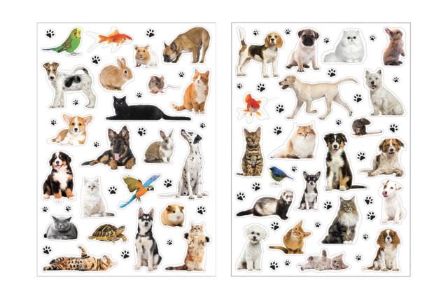 Gommettes Animaux Domestiques Realistes - Des gommettes animaux pour créer et apprendre dès la maternelle - 10doigts.fr