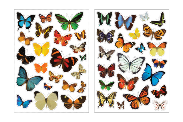 Gommettes Papillons Realistes - Des gommettes animaux pour créer et apprendre dès la maternelle - 10doigts.fr