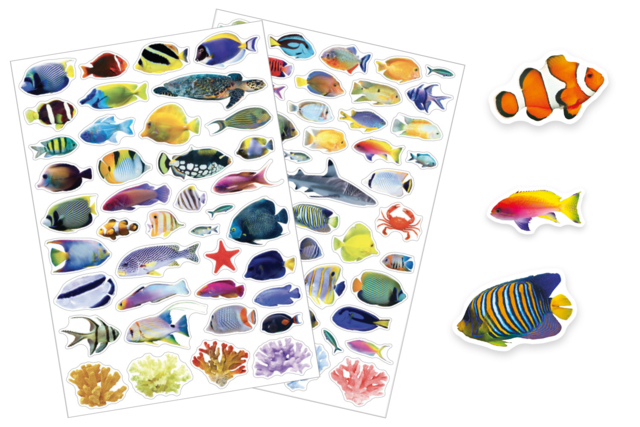 Gommettes poissons realistes - Des gommettes animaux pour créer et apprendre dès la maternelle - 10doigts.fr