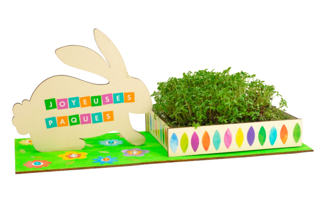 jardinières lapin - Kits créatifs Pâques - 10doigts.fr