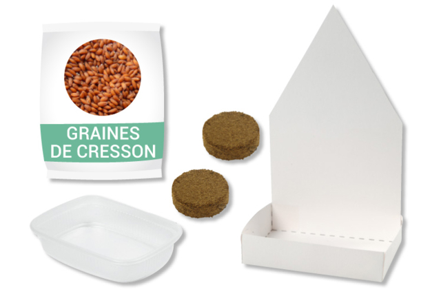 Kit 6 maisons jardinières - Kits animaux et nature : créez votre propre univers sauvage - 10doigts.fr